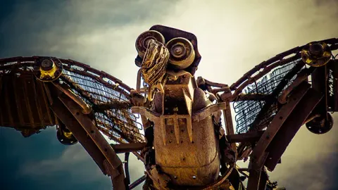 Stadtführung Street-Art in Köln - Der Solarvogel